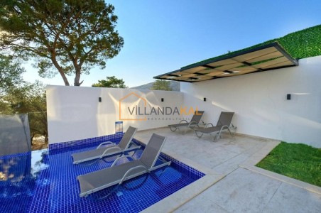 Villa Coriander